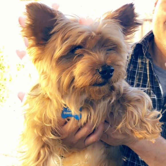 Meet your Posher, Dee - Picture 5 of 8